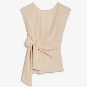 Express Crew Neck Side Tie Top